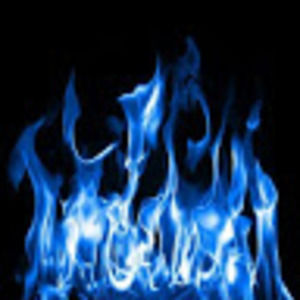 Meet your Posher, Timothy